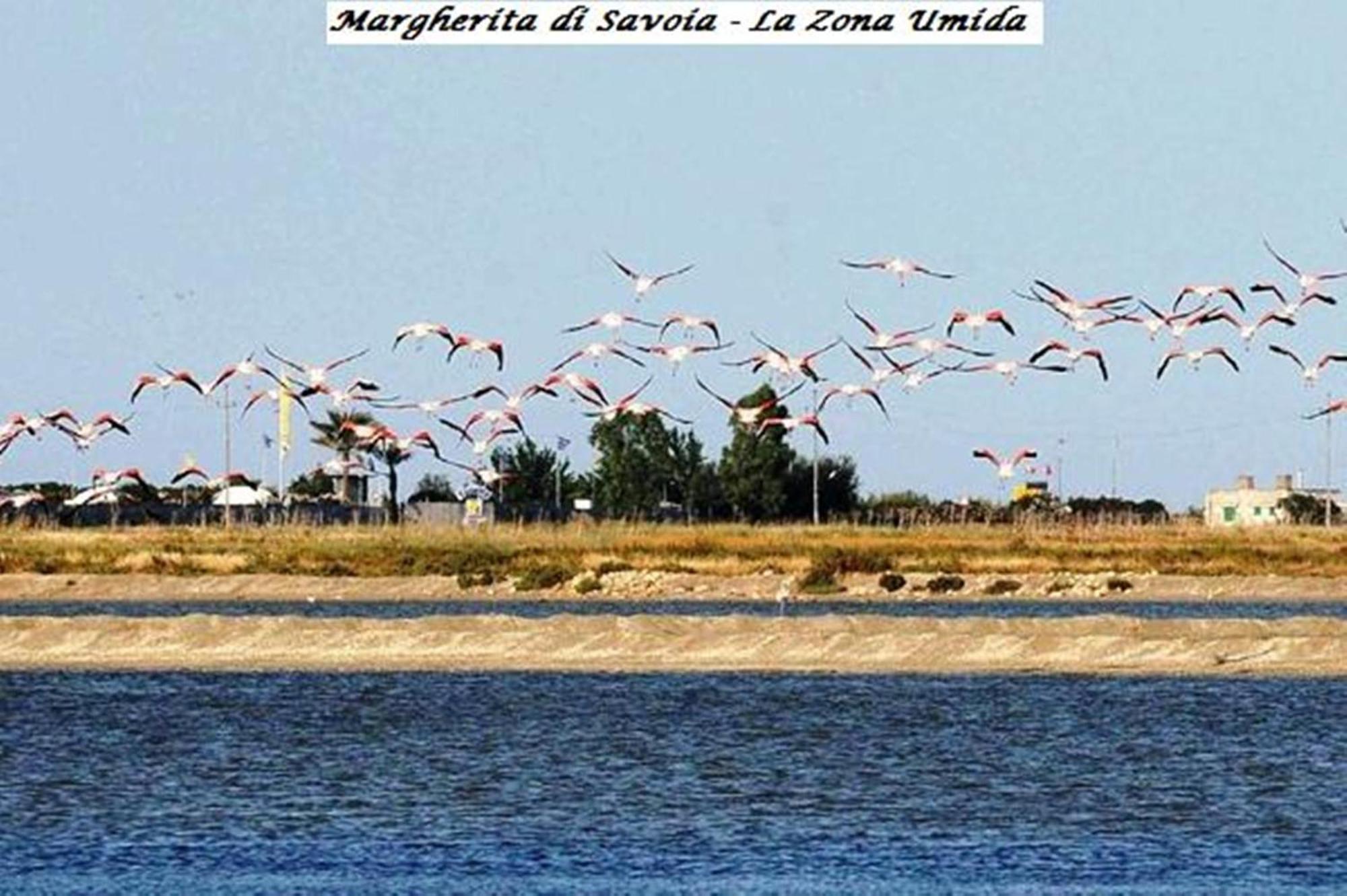 Hotel Tenuta San Francesco Barletta Dış mekan fotoğraf
